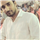 Mohd Aleem