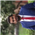 Shubham Maurya