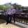 Sachin Hingnikar