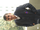 Shashank Singh