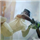 Shubham Laxman Waghmare