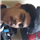 Mohammed Kaja Navas Sherief M