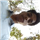 Anand Gaurav