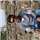 Rakesh Kelawadi