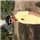 Parmar Dev Vijaysinh