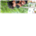 Venkatesh T