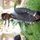 Gowkanapalli Ganesh Reddy