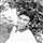 Akshay Atmaram Borse