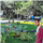 Sanjesh Kumar