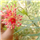 Divya S