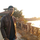 Tushar Kapse