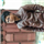 Manish Kumar
