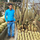 Joshim Jamal