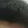 Pawan Pant