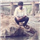 Ashish M J