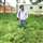 Md  Wasiqurrahman
