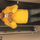Darshan Sharma