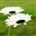 Parkavi Selvam