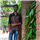 Naveen M