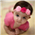 Nisha N M