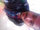 Ritik Jain