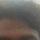 Arnab Panja