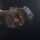 KULDEEP kuldeep