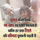 Neelam Baghel