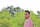 Harshil Kanabar