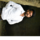Amritesh Rai