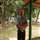 Prasanth Nambiar