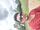 Suneel Kumar