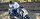 Dravid Sathe