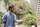 Muhammad Osama Emran