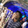 Vivek Kumar Saw