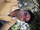 Amit Kumar
