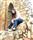 Nupur Anand