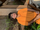 Shresht Wadhwa