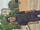 Goodwin Tirkey