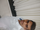 Hitesh More