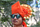 More Shivam Dattatrya