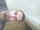 Risvan Vp