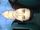 Ronit Roy