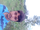 Praj Wal