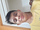 Siddharth Jain