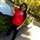 Aanchal Mittal