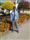 Vijay Raj Singh