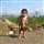 Arjun Ghosh