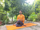 Vikas Dubey