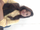 Vaishnavi Yadav